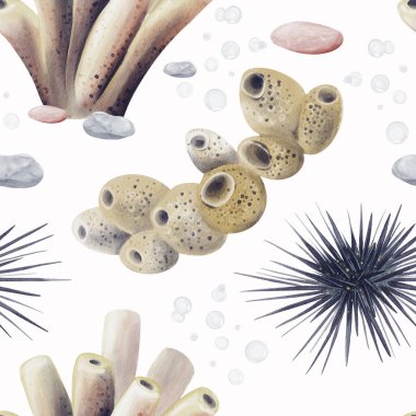 Deniz kestanelerinde kusursuz desen. Altta mercanlar ve deniz süngerleri var. Oceanarium. Mercan kayalıkları. Geçmişi olmayan suluboya resimler. El çizimi. Yüksek kaliteli illüstrasyon