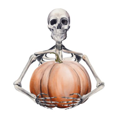 İnsan iskeleti büyük turuncu balkabağına sarılır. Kabak satıcısı. Olgun hasat. Cadılar Bayramı dekoru. Kemik ve sihir. Geçmişi olmayan suluboya resimler. El çizimi. Yüksek kaliteli illüstrasyon