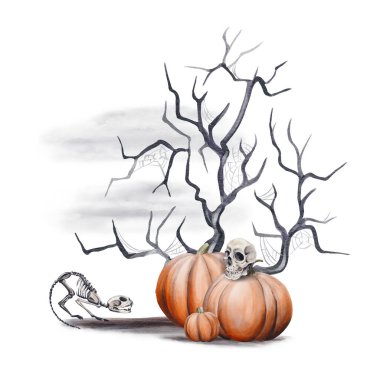 Kafatası ve arka planında korkunç bir ağaç ve sis olan hayvan iskeleti olan balkabakları. Bir kedinin iskeleti korkmuştu. Cadılar Bayramı arsası. Suluboya çizimi. El çizimi. 