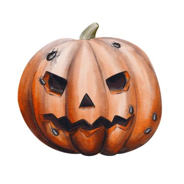 Cadılar Bayramı için yüzü olan büyük turuncu balkabağı. Kabağın üzerinde böcekler ve örümcekler sürünüyor. Vale kafası. Geçmişi olmayan suluboya resimler. El çizimi. Yüksek kaliteli illüstrasyon