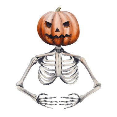 Balkabağı kafalı insan iskeleti. Balkabağının üzerine bir yüz kazınmış. Jet kafası. Hayalet ya da zombi. Cadılar Bayramı dekoru. Geçmişi olmayan suluboya resimler. El çizimi. Yüksek kalite