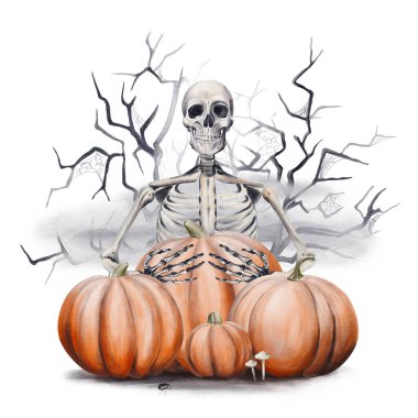 Turuncu balkabaklarının arasındaki iskelet. Sis ve ağaç dalları. Cadılar Bayramı teması. Dekorasyon şablonu. Suluboya çizimi arkaplandan izole edildi. El çizimi. Yüksek kaliteli illüstrasyon