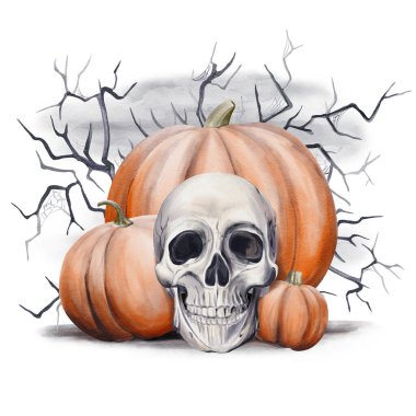 Kafatası bir balkabağı yığını içinde yatıyor. Cadılar Bayramı için büyük olgun portakal kabakları. Arka planda örümcek ağları ve uğursuz sisli korkunç dallar var. Gotik suluboya çizimi. El çizimi.