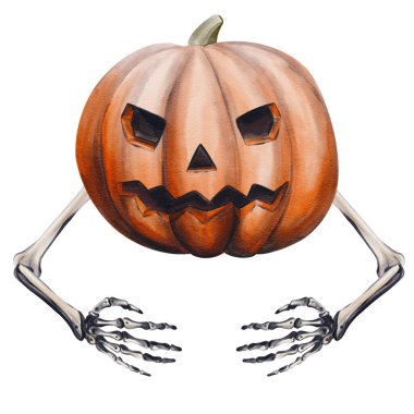 Yüzü ve elleri olan dev bir balkabağı. Vale kafası. Cadılar Bayramı dekoru. Komik korkunç balkabağı. Suluboya çizimi arkaplandan izole edildi. El çizimi. Yüksek kaliteli illüstrasyon