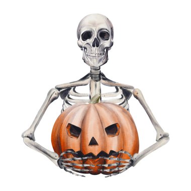 İskelet balkabağı tutuyor. Vale kafası. Cadılar Bayramı dekoru. Balkabağı satıcısı. Arkaplandan izole edilmiş gerçekçi suluboya çizimi. El çizimi. Kafatası gülümsüyor. Yüksek kaliteli illüstrasyon