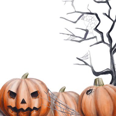 Kabak ve dalların çerçevesi. Cadılar Bayramı şablonu. Örümcek ağı bir grup balkabağı ve korkunç bir ağacın etrafına sarılmış. Geçmişi olmayan suluboya resimler. El çizimi. Kabağın üstünde sürünen bir böcek. 