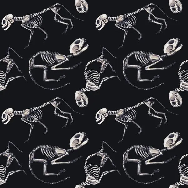Hayvan iskeletleriyle kusursuz desen. Evcil hayvanlar ve kediler. Anatomik iskeletler. Veteriner ve Cadılar Bayramı. Siyah arkaplanda suluboya çizimi. El çizimi. Yüksek kaliteli illüstrasyon