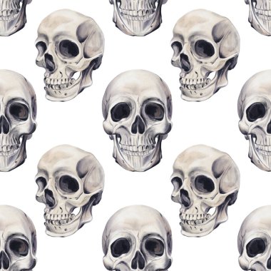 İnsan kafatasında kusursuz desen. Farklı şekillerde. İskelet ve kemik. Gotik tarzı. Suluboya çizimi arkaplandan izole edildi. El çizimi. Tekstil, kumaş, kağıt ve duvar kağıtları için.. 