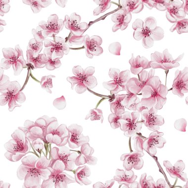 Sakura çiçekleriyle kusursuz desen. Kiraz çiçeği festivali. Dallardaki küçük pembe çiçekler. Yapraklar ve yapraklar. Suluboya çizimi arkaplandan izole edildi. El çizimi. 