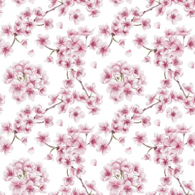 Sakura çiçekleriyle kusursuz desen. Kiraz çiçeği festivali. Dallardaki küçük pembe çiçekler. Yapraklar ve yapraklar. Suluboya çizimi arkaplandan izole edildi. El çizimi. 
