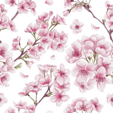 Sakura çiçekleriyle kusursuz desen. Kiraz çiçeği festivali. Dallardaki küçük pembe çiçekler. Yapraklar ve yapraklar. Suluboya çizimi arkaplandan izole edildi. El çizimi. 