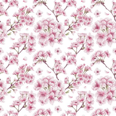 Sakura çiçekleriyle kusursuz desen. Kiraz çiçeği festivali. Dallardaki küçük pembe çiçekler. Yapraklar ve yapraklar. Suluboya çizimi arkaplandan izole edildi. El çizimi. 