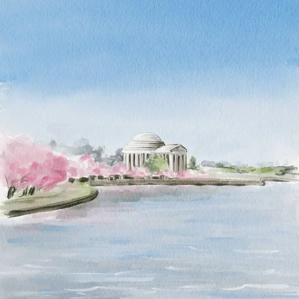 Washington 'da Kiraz Çiçeği Festivali. Sakura sırasında Jefferson Memorial. Arka planda pembe ağaçlar olan göl. Kartpostal ya da şablon geçmişi. Suluboya çizimi. El çizimi. 