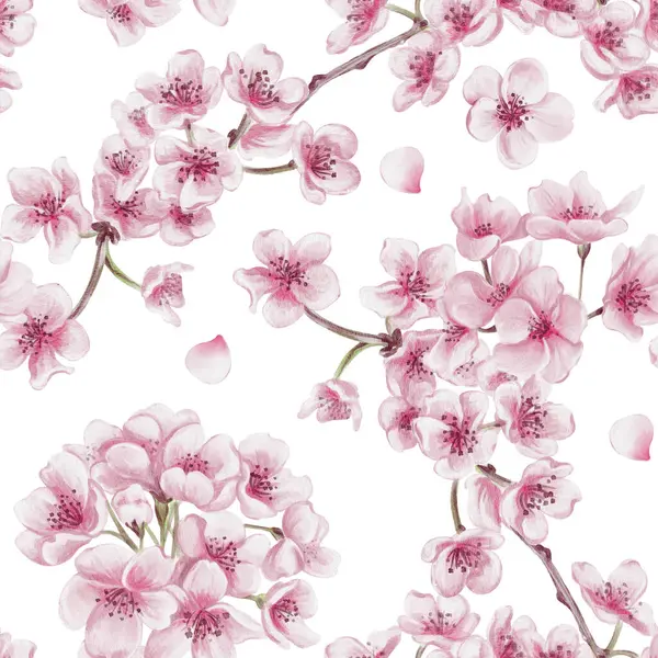 Sakura çiçekleriyle kusursuz desen. Kiraz çiçeği festivali. Dallardaki küçük pembe çiçekler. Yapraklar ve yapraklar. Suluboya çizimi arkaplandan izole edildi. El çizimi. 