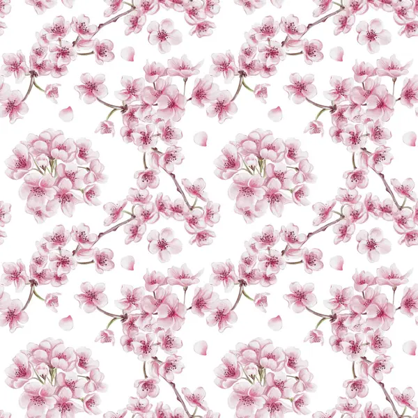 Sakura çiçekleriyle kusursuz desen. Kiraz çiçeği festivali. Dallardaki küçük pembe çiçekler. Yapraklar ve yapraklar. Suluboya çizimi arkaplandan izole edildi. El çizimi. 