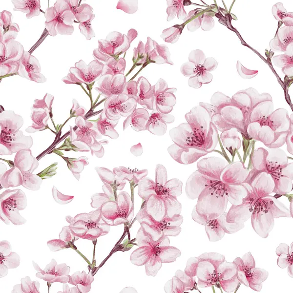 Sakura çiçekleriyle kusursuz desen. Kiraz çiçeği festivali. Dallardaki küçük pembe çiçekler. Yapraklar ve yapraklar. Suluboya çizimi arkaplandan izole edildi. El çizimi. 