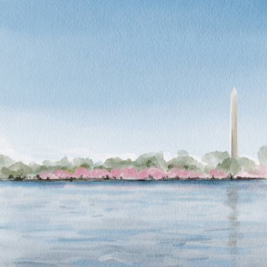 Baharda Kiraz Çiçeği Festivali sırasında Washington Anıtı. Washington, DC 'de. Suluboya çizimi. El çizimi. Yüksek kaliteli illüstrasyon