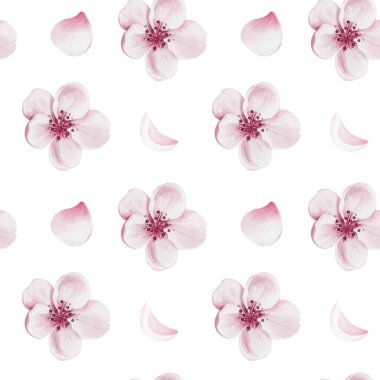 Pembe çiçekli kusursuz desen. Kiraz çiçeği. Geçmişi olmayan suluboya resimler. El çizimi. Kumaş ve tekstil için. Ambalaj kağıdı ve şablonlar. Yüksek kaliteli illüstrasyon