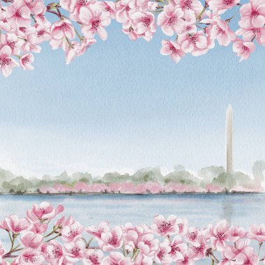 Bahar kiraz çiçeği festivali sırasında Tidal Basin ve Washington Anıtı 'nda. Washington, DC 'de. Kiraz çiçekli kartpostal. Hatıra şablonu. Yüksek kaliteli illüstrasyon