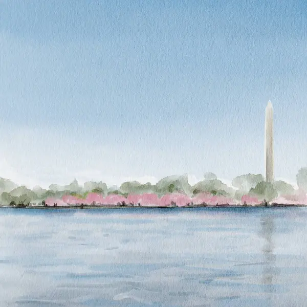 Baharda Kiraz Çiçeği Festivali sırasında Washington Anıtı. Washington, DC 'de. Suluboya çizimi. El çizimi. Yüksek kaliteli illüstrasyon