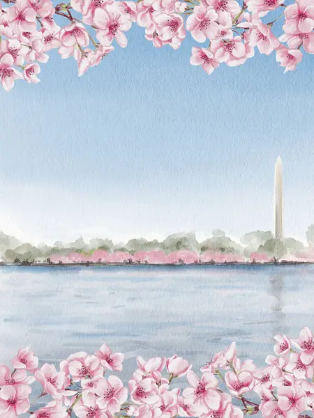 Bahar kiraz çiçeği festivali sırasında Tidal Basin ve Washington Anıtı 'nda. Washington, DC 'de. Kiraz çiçekli kartpostal. Hatıra şablonu. Yüksek kaliteli illüstrasyon