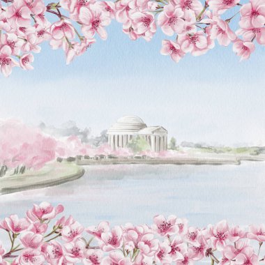 Washington 'da Kiraz Çiçeği Festivali. Sakura sırasında Jefferson Memorial. Arka planda pembe ağaçlar olan göl. Kartpostal ya da şablon geçmişi. Suluboya çizimi. El çizimi. Yüksek kaliteli illüstrasyon