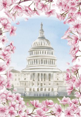 Başkent Washington, D.C. Ulusal Kiraz Çiçeği Festivali. Pembe çiçekli çerçeve. Suluboya çizimi, el çizimi. Robot resim. Bir kartpostal ya da hatıra şablonu. Yüksek kaliteli illüstrasyon