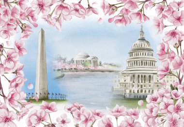 Washington D.C. 'de Ulusal Kiraz Çiçeği Festivali. Üzerinde kiraz çiçekleri ve ABD başkentinin simgeleri var. Suluboya çizimi. Robot resim. El çizimi. Yüksek kaliteli illüstrasyon