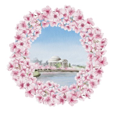 Washington 'da Kiraz Çiçeği Festivali. Sakura sırasında Jefferson Memorial. Arka planda pembe ağaçlar olan göl. Kartpostal ya da şablon geçmişi. Suluboya çizimi. El çizimi. Yüksek kaliteli illüstrasyon