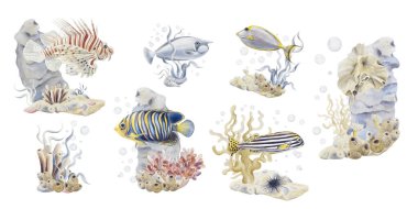 Tropikal balık seti. Renkli ve çizgili balıklar. Egzotik hayvanlar. Deniz resiflerinin sakinleri. Oceanarium. Topluyorum. Suluboya çizimi arkaplandan izole edildi. El çizimi. 