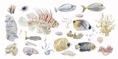  Tropikal balık ve bitkiler. Aslan balığı. Mavi yosun. Sarı dallı mercan. Kum ve taştan yapılmış deniz yatağı. Akvaryum ve okyanus resifi dekoru. Geçmişi olmayan suluboya resimler. El çizimi. 