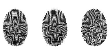 Parmak izi vektör simgesi ayarlandı. Kişisel kimlik kartı. Parmağına bas, güvenlik taraması yap. Benzersiz dokunmatik kimlik. Bireysel parmak ucu, poliste doğrulama demektir. Beyaz arkaplanda resim.