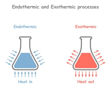 Endotermik ve Ekzotermik süreçler ve tepkiler. Isıt ve ısıt. Isı enerjisini emiyor ve serbest bırakıyor. Kimyasal ya da fiziksel bir işlem. Termodinamik. Vektör illüstrasyonu.