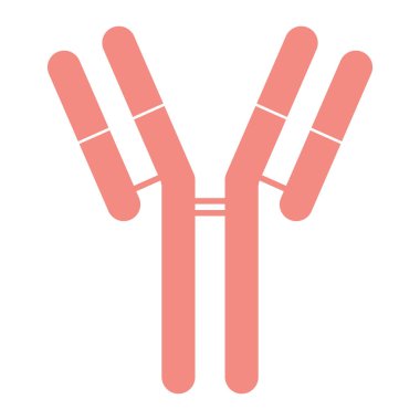 Tek bir antikor molekülü veya bağışıklık sistemi vektör ikonu. Antikorun şematik yapısı. Vektör illüstrasyonu