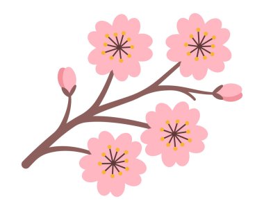 Kiraz çiçekli vektör çizimi. Çiçek açmış pembe Sakura çiçekleri. Japon bahar çiçeği, doğa dekorasyonu, çiçek kliması, düğün ya da spa tasarım elementi. Beyaz arkaplanda izole.