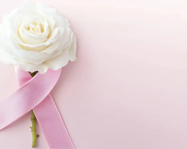 Pembe kurdeleli bir gül. Göğüs kanseri önleme kampanyası. Pembe Ekim. Yapay Zeka ile oluşturuldu