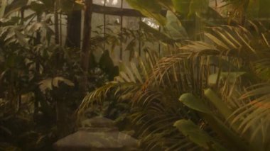 Bir yaz günü iskelede