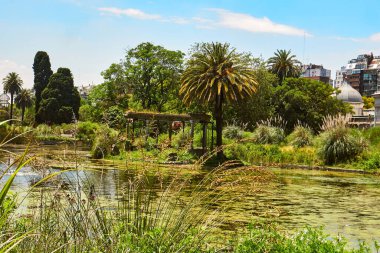 Buenos Aires, Arjantin - 27 Kasım 2024: Buenos Aires Ecopark 'taki güzel gölet ve manzara