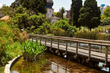 Buenos Aires, Arjantin - 27 Kasım 2024: Buenos Aires Ecopark 'taki tesislerle çevrili güzel köprü