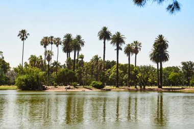 Buenos Aires, Arjantin - 27 Kasım 2024: Buenos Aires 'teki Rosedal Park' ta güzel güneşli bir sabah, ağaçların, gölün ve manzaranın tadını çıkaran taze bir esinti.