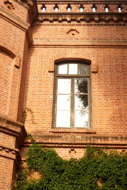 Kemerli Pencereli ve Tırmanan Asmalı Eski Tuğla Duvar