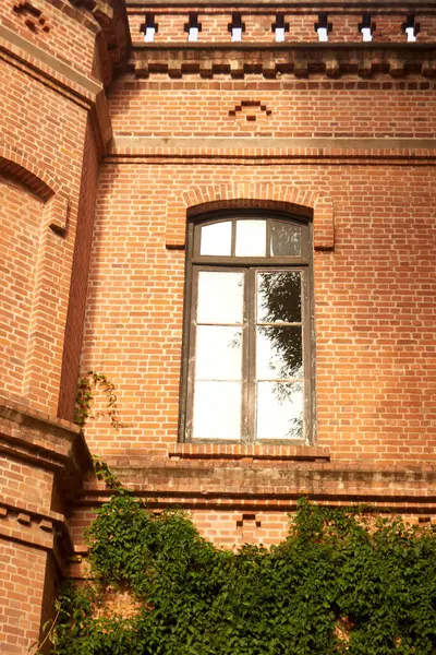 Kemerli Pencereli ve Tırmanan Asmalı Eski Tuğla Duvar