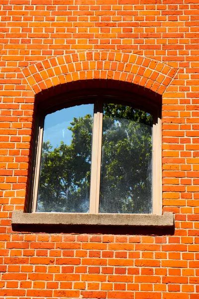 Turuncu Tuğla Duvarda Ağaç Yansıması Arkalı Pencere