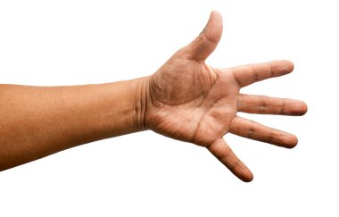 Beş Parmaklı Açık El Beyaz Arkaplanda tecrit edilmiş Latin Adam 'ın Yayılması