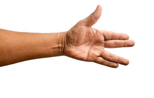 Beyaz Arkaplanda İzole Edilmiş Latin Bir Adamın El sıkışması