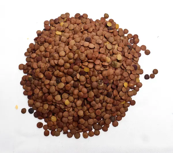 Kahverengi mercimek tepeciği beyaz arka planda izole edilmiş, uygun fiyatlı bitki protein sürdürülebilirliği ve sağlıklı ev yemeklerini temsil ediyor..