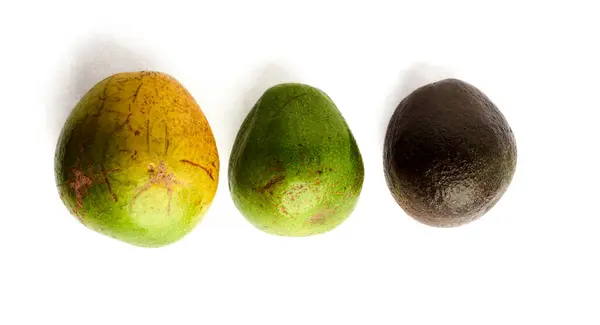Beyaz arkaplanda üç avokado izole edilmiş olgunluk aşamaları gösteriyor 