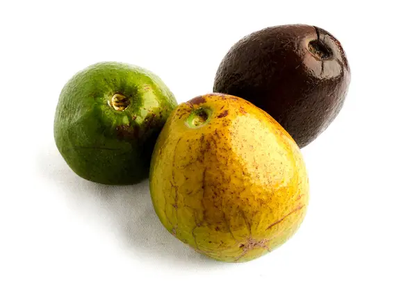 Farklı olgunluk aşamalarında beyaz arkaplanda izole edilmiş avokado grubu 