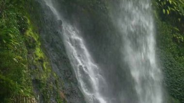 Güçlü bir şelale, yoğun yeşil bitki örtüsüyle çevrili yeşil yosun dolu bir uçurumdan aşağı akar, yemyeşil ve büyüleyici bir doğal manzara sağlar..