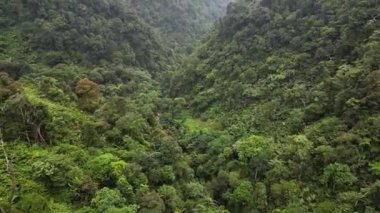 İnsansız hava aracı Endonezya 'nın Bogor şehrindeki Halimun Dağı Ulusal Parkı' nda uçuyor. Gerçek zamanlı olarak ilerlemek.